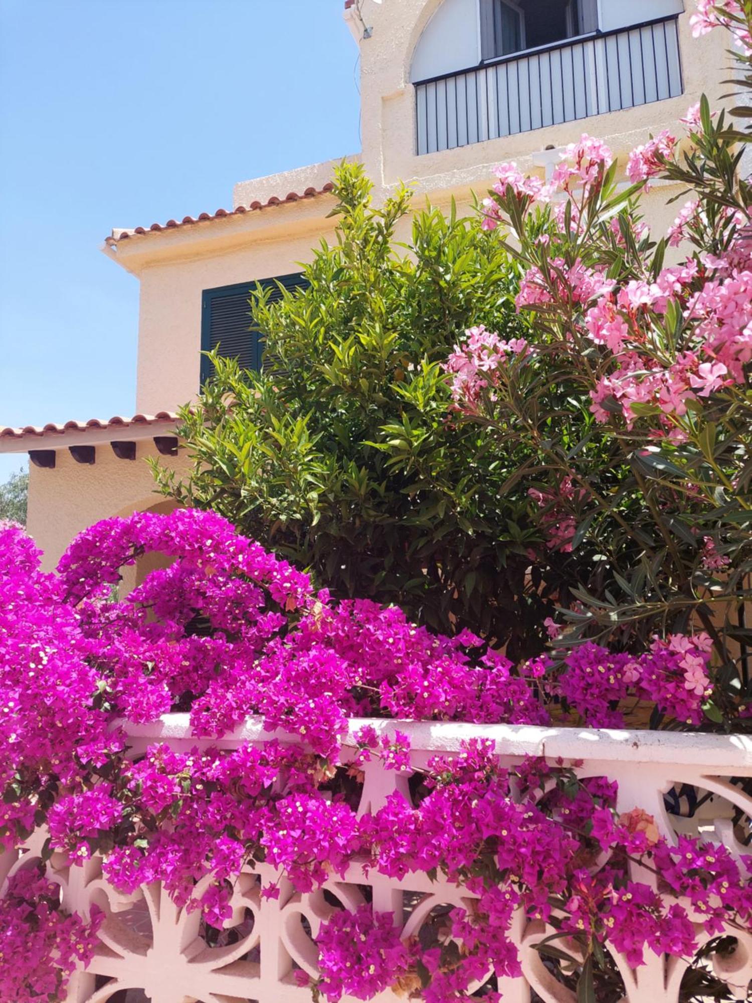 Haus Am Meer Torrevieja Buitenkant foto